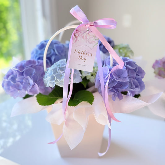 Mother's Day Hydrangea Planter
